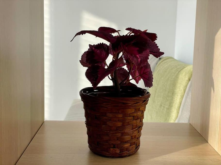 Appartement 73M2 - 2 Chambres - Parking - Wi-Fi Тулуза Экстерьер фото